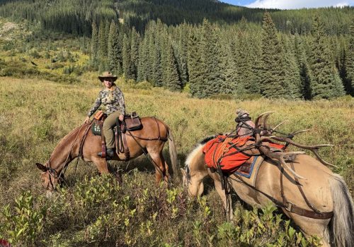 Game_Care_A__compressed