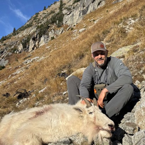 Hunt_Strategy_B_compressed